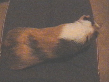 zeměření terka břísko.JPG